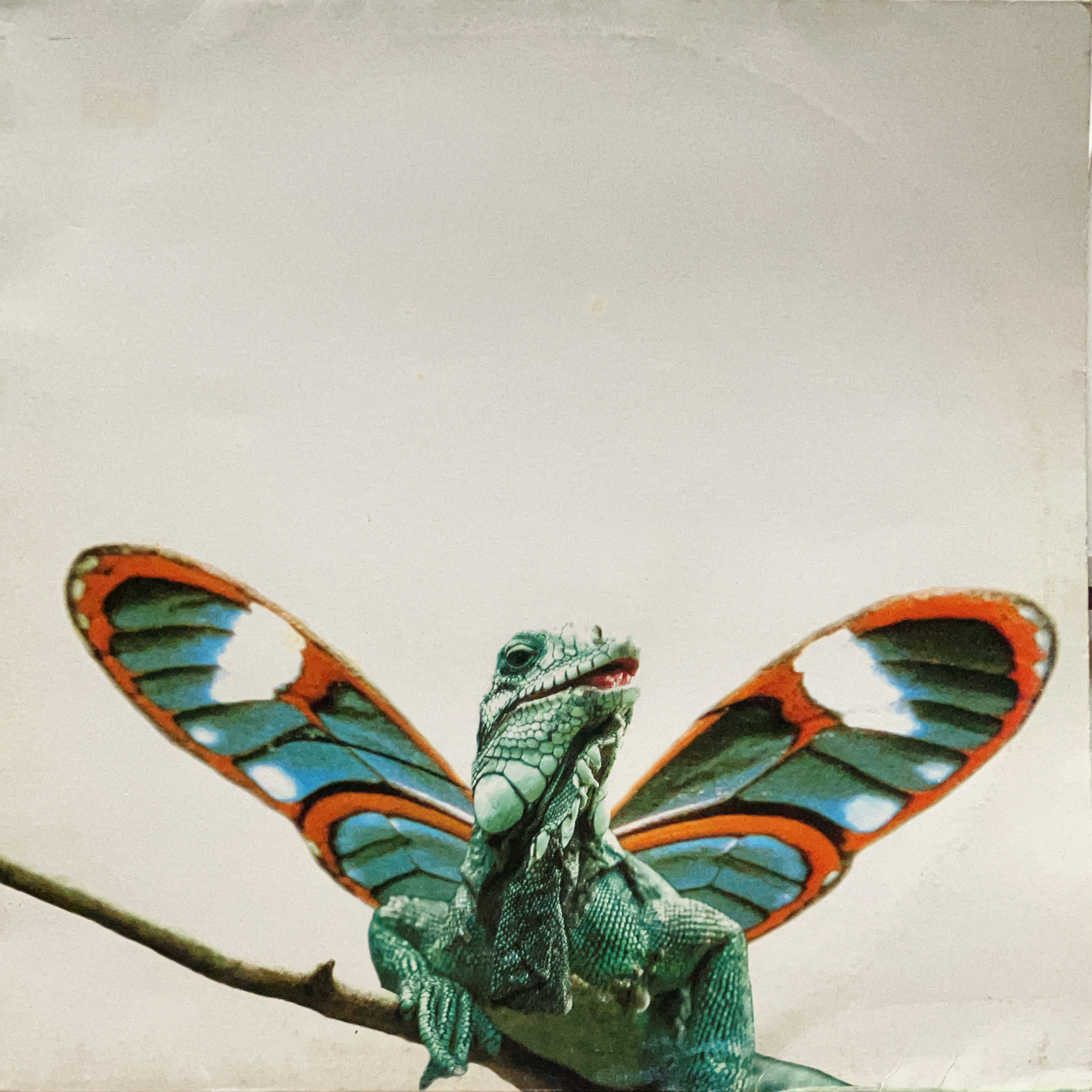 12”】V.A. / Trip Do Brasil 2 - EP3 (Small) (6711096/000) | cpvinyl