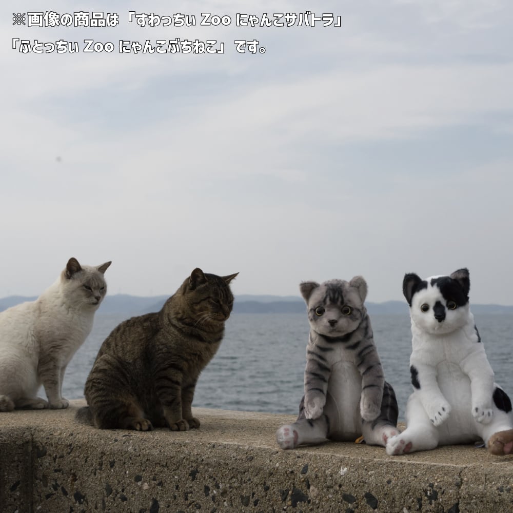すわっちぃZooにゃんこ サビ猫 | リードのおみせ Catail すわっちぃZooにゃんこ サビ猫 | リードのおみせ Catail
