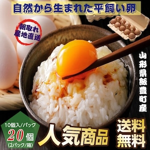 平飼い卵 山形県飯豊町産 ２０個（１０個入/パック×２パック）産地直送 送料無料