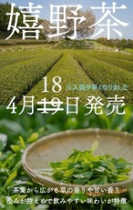 〈4月18日 発売〉　2024　新茶　嬉野茶　80g