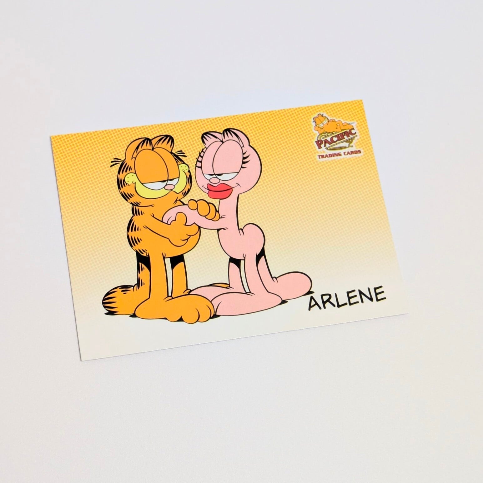 送料無料！☆ DEADSTOCK / VINTAGE 2004 ☆【 Garfield ( ガーフィールド ) 】トレーディングカード9枚SET 〚アメリカン雑貨 アメトイ〛
