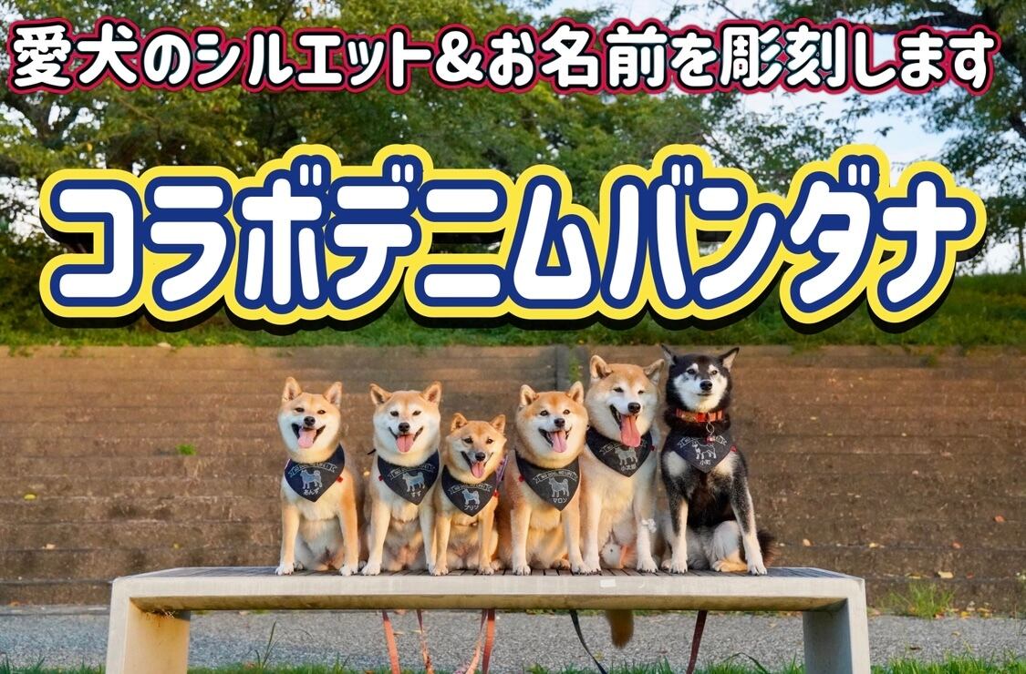 コラボ☆デニムバンダナ | わんこの幸せバンダナ コラボ☆デニムバンダナ | わんこの幸せバンダナ