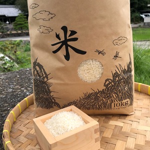 令和5年産 淡路島産 イクヒカリ 10kg(白米)