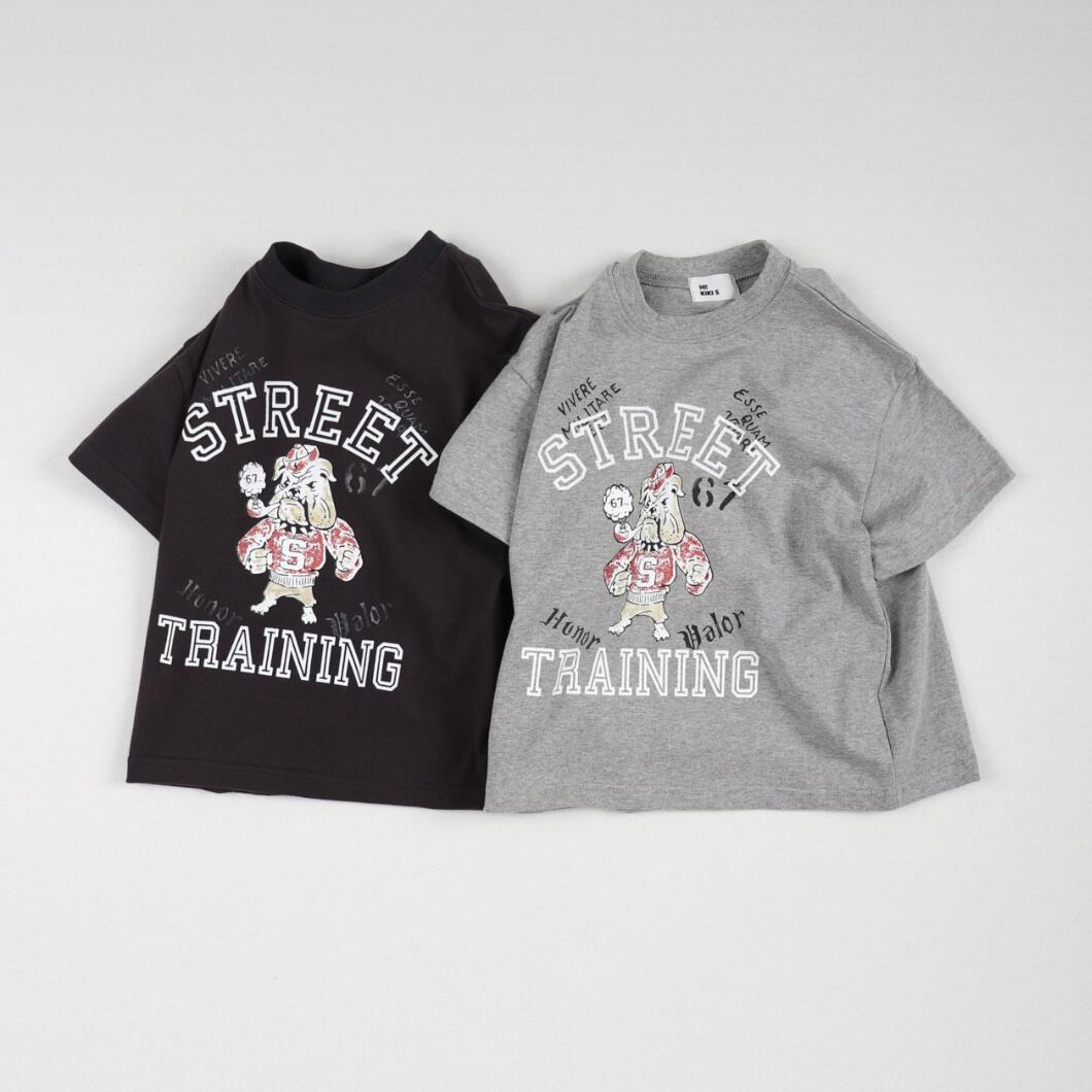 《送料無料》予約:ストリート半袖T【HIKIKI】