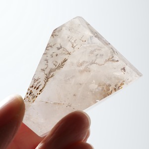 デンドリティック クォーツ / フリーフォーム