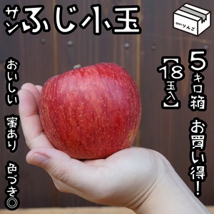 小玉リンゴ★★★サンふじ（５㎏18-23玉）