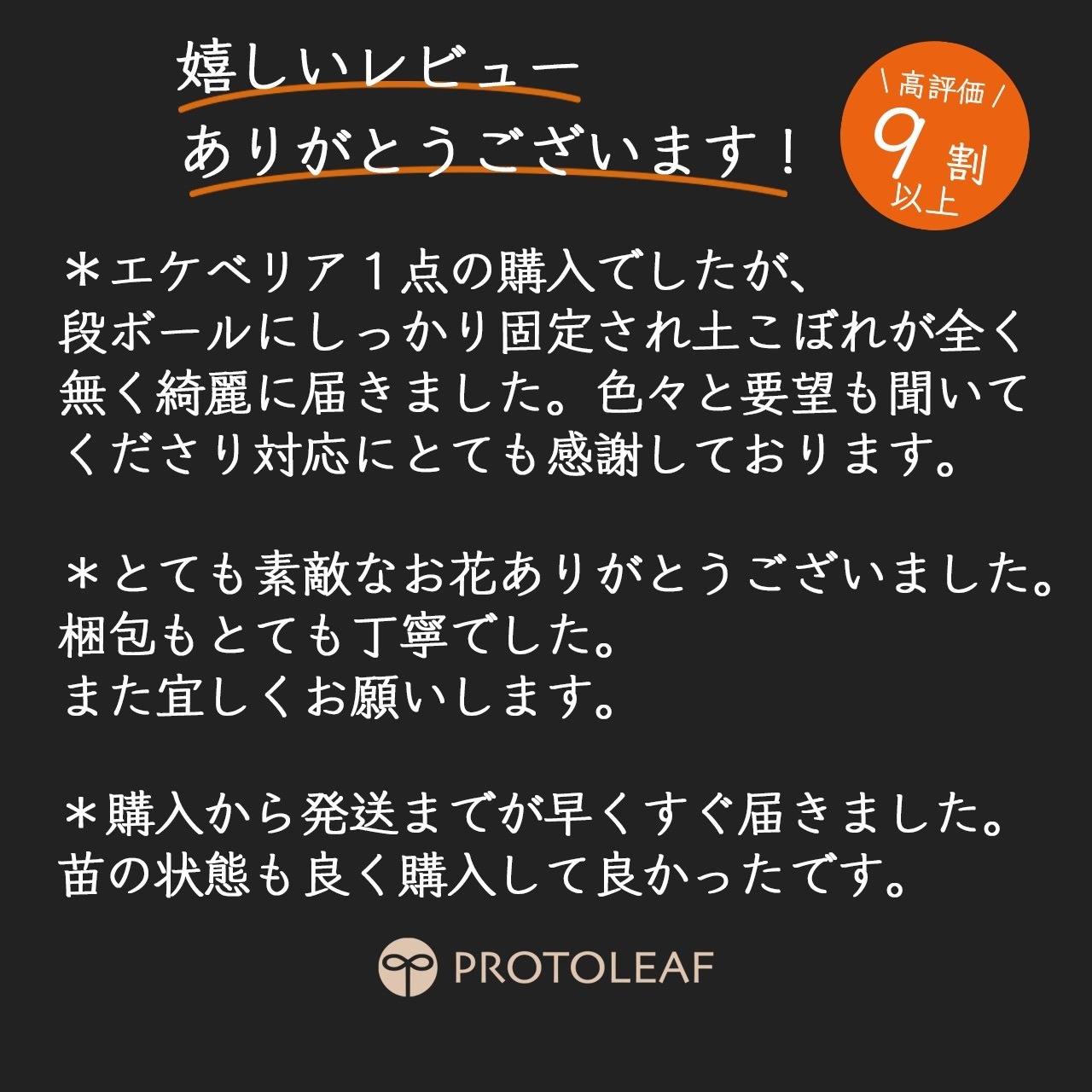 【一穂窯】黒白化粧嘯裂鉢 4号