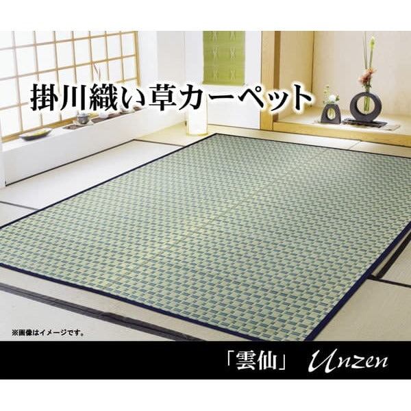 花ござ 雲仙 261×352cm 江戸間6畳 抗菌 い草