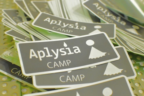 AplysiaCAMPステッカー　【Aplysia CAMP】