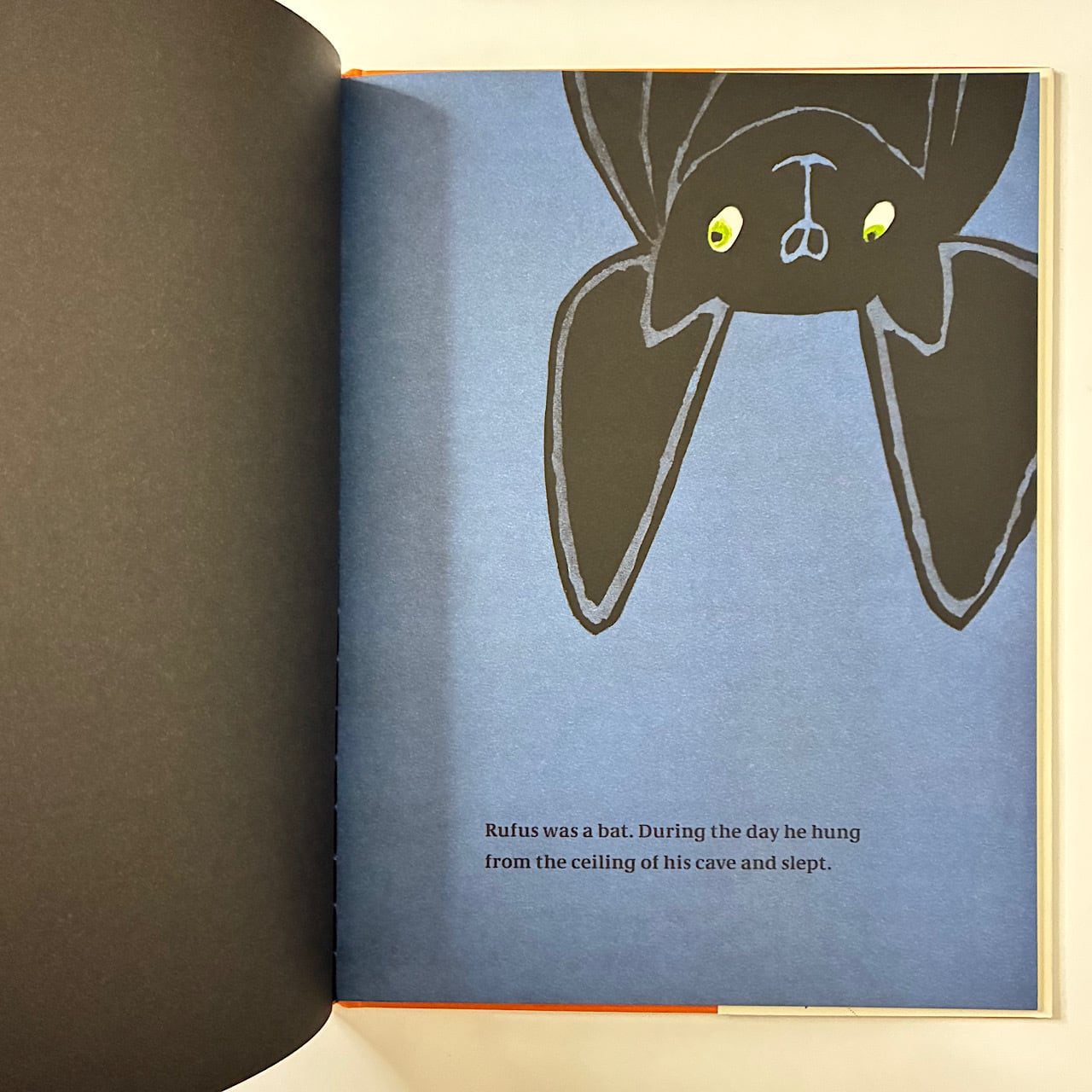 絵本・児童書 Rufus Rufus: The Bat Who Loved Colors | 素敵な洋書の絵本屋さん Read Leaf