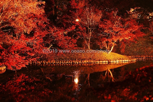 ライトアップされた秋の美しい紅葉風景