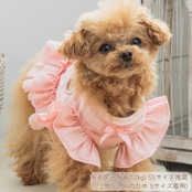 ＼新作／ ラブリーフリルハーネス