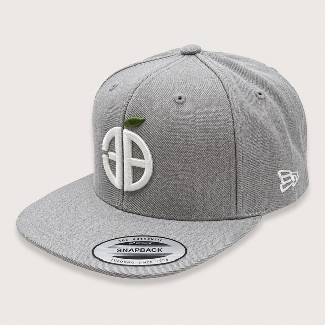 SANPACHI REGION SNAPBACK CAP HEATHER GREY