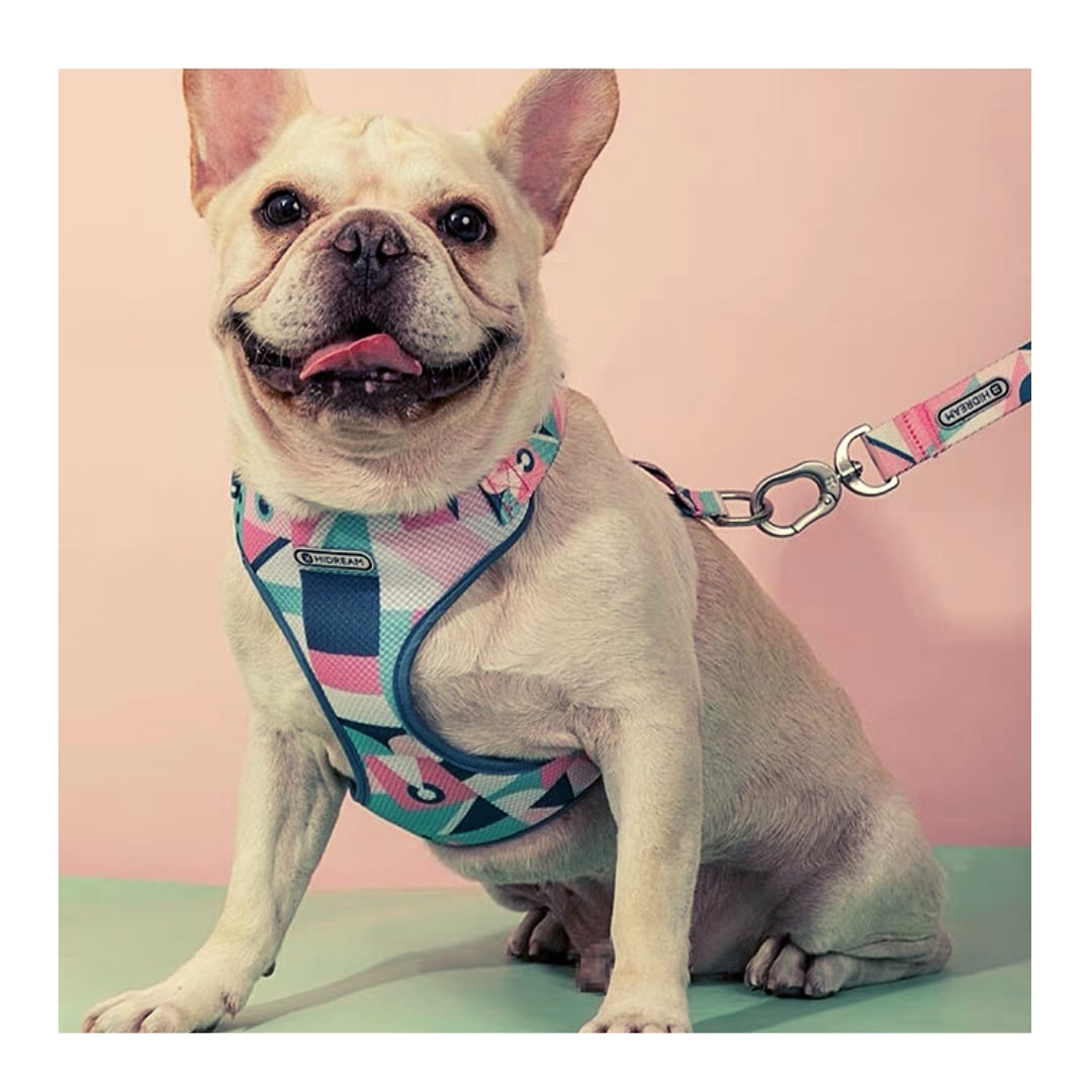 小型犬 中型犬 ソフトハーネス Hidream ペット用品 ココアンドルカ Base店