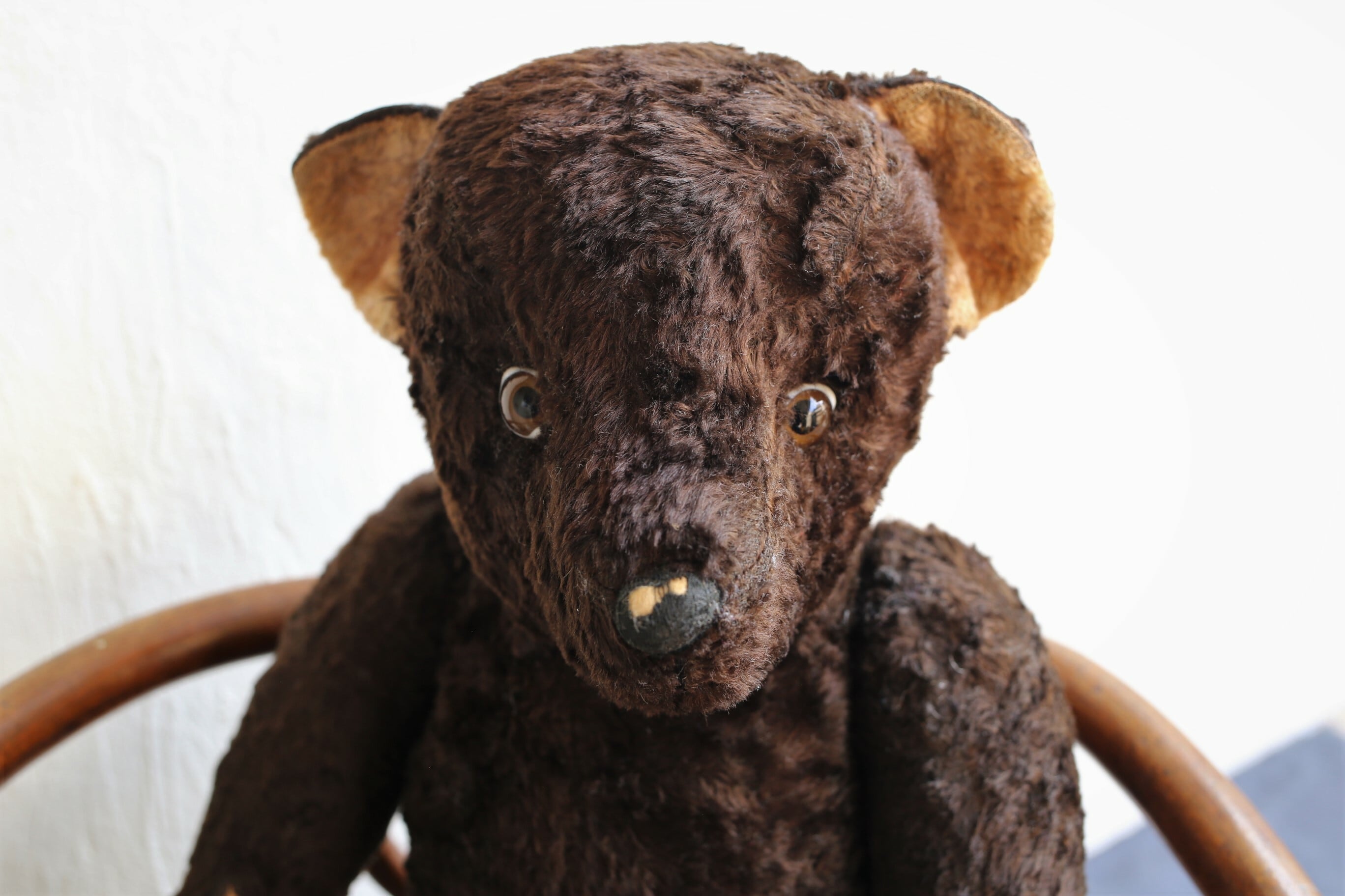 アンティーク テディベア フランス アンティーク ヴィンテージ テディベア ダークブラウン N