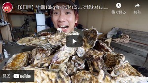 昆布の森の牡蠣『北海道仙鳳趾産 殻付き牡蠣』Mサイズ（150g以上／個） 大箱（約30個）