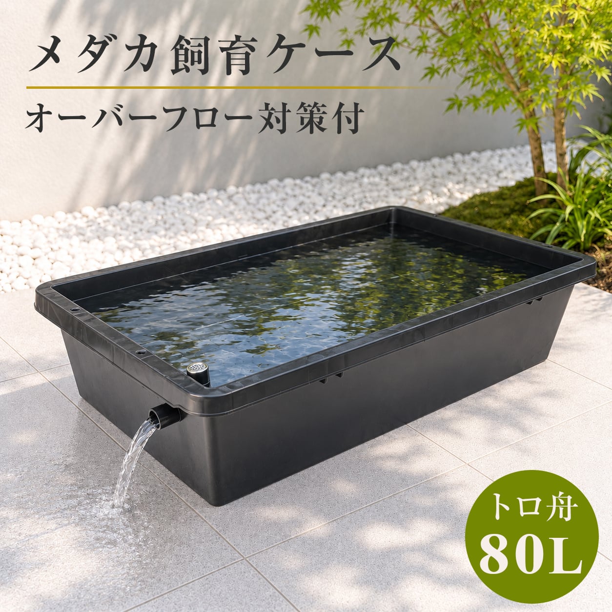五色アクア BASE店
