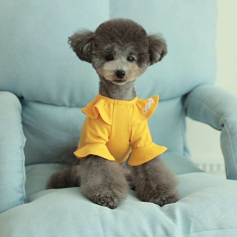 purina t-shirt S ~ XL 4color  /  犬服 秋冬 Tシャツ ブラウス 上品 可愛い ワンコ服 ストレッチ 犬の服 長袖 無地 ドッグウェア フリル シンプル ニット お揃い ハイネック 韓国ワンコ服 小型犬 中型犬