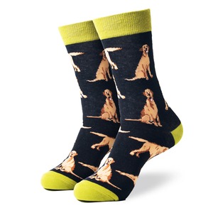 Golden GoodBoy socks ゴールデングッドボーイ ソックス