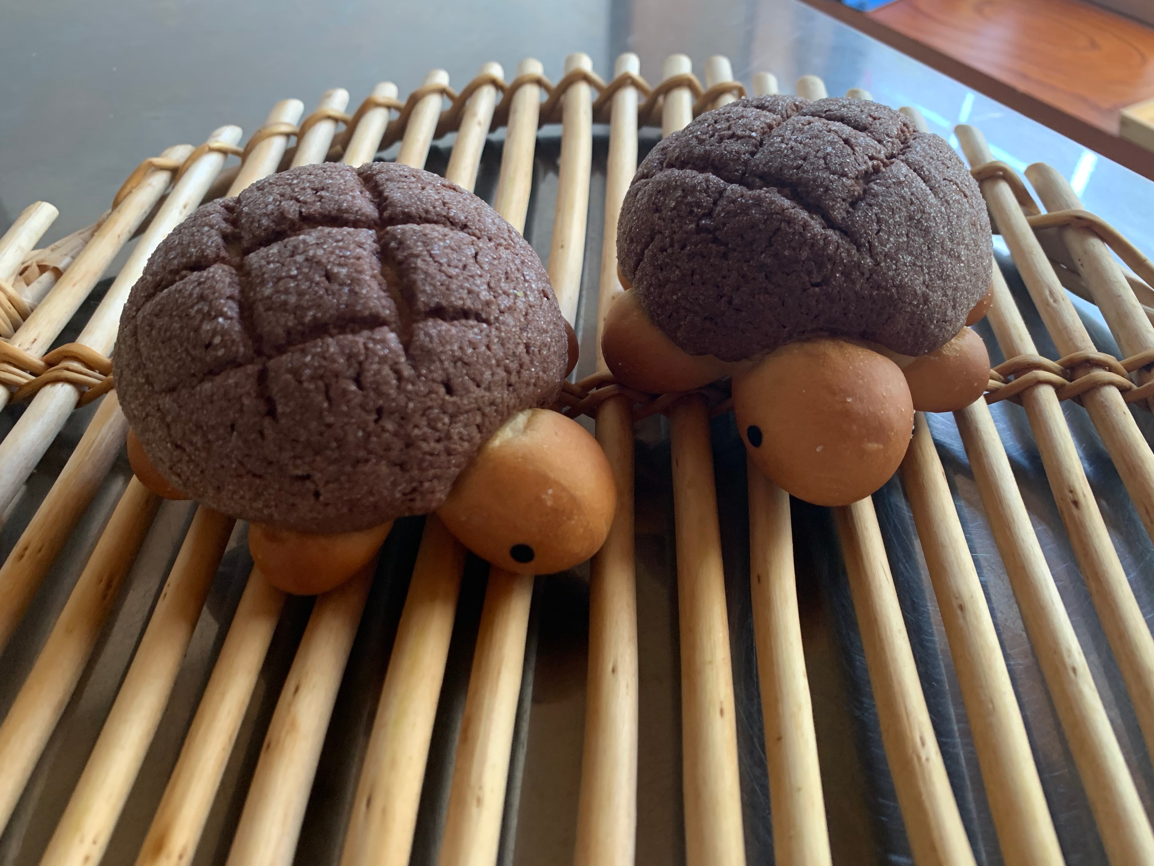 全部で8色！カラフルカメロンパン10個セット | カメロンパンの