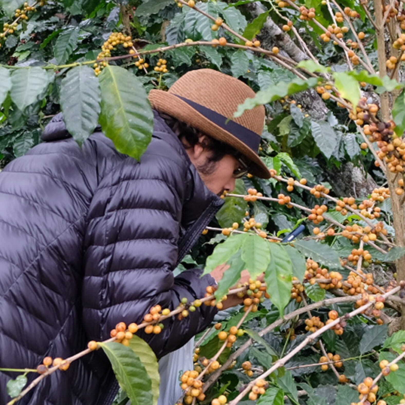 タイ Co-NECT PROJECT ラムヴェール ドイサケット農園 アナエロBH 中深煎り 150g