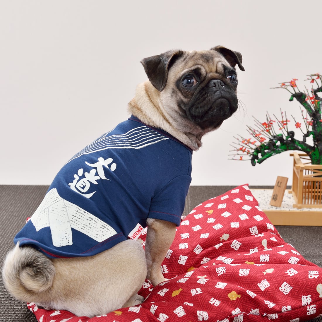 犬道着 / 紺色（2700） | 和風あるくろぉす