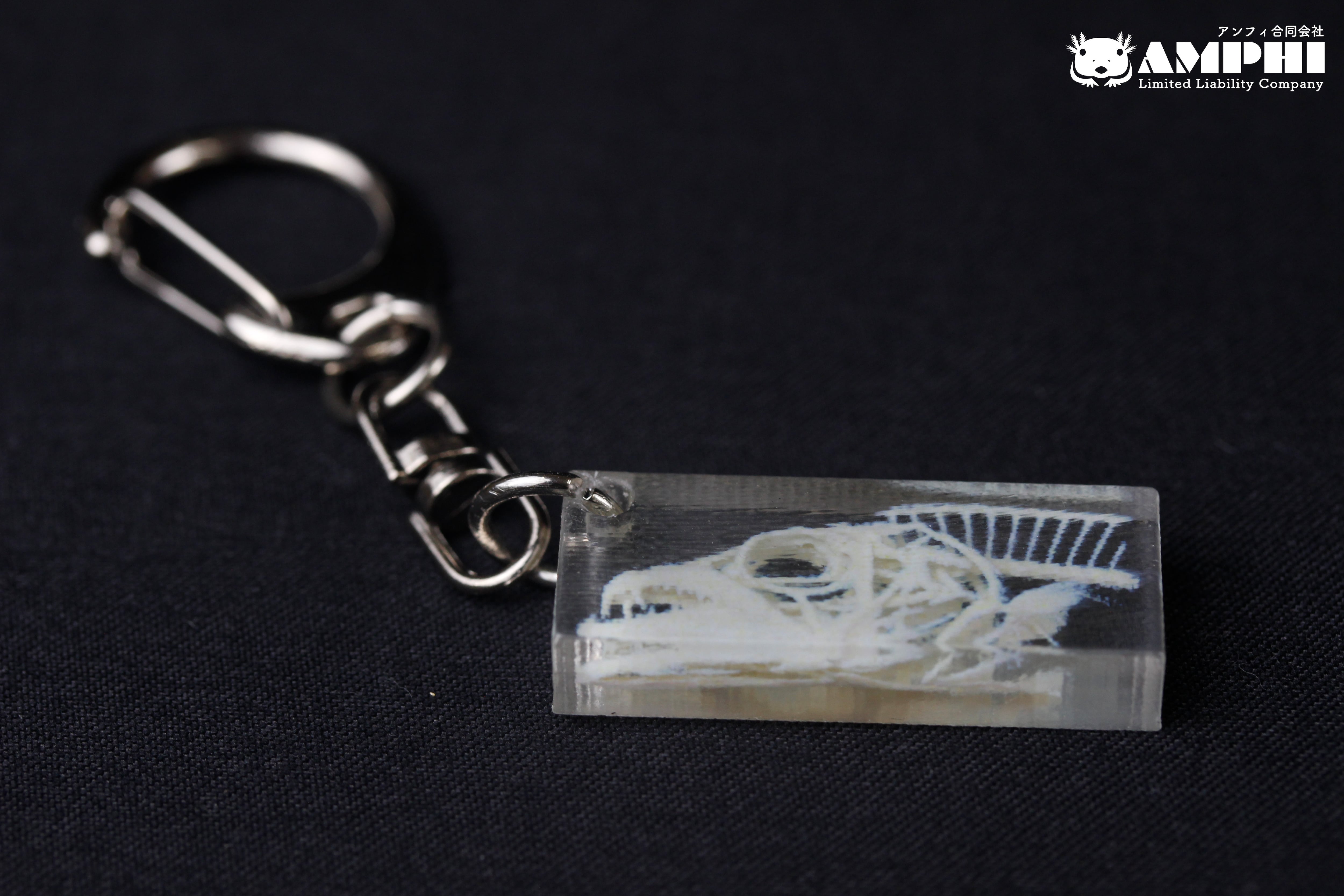 CTデータ・カラー3Dプリンター】タチウオ 骨格キーホルダー Largehead