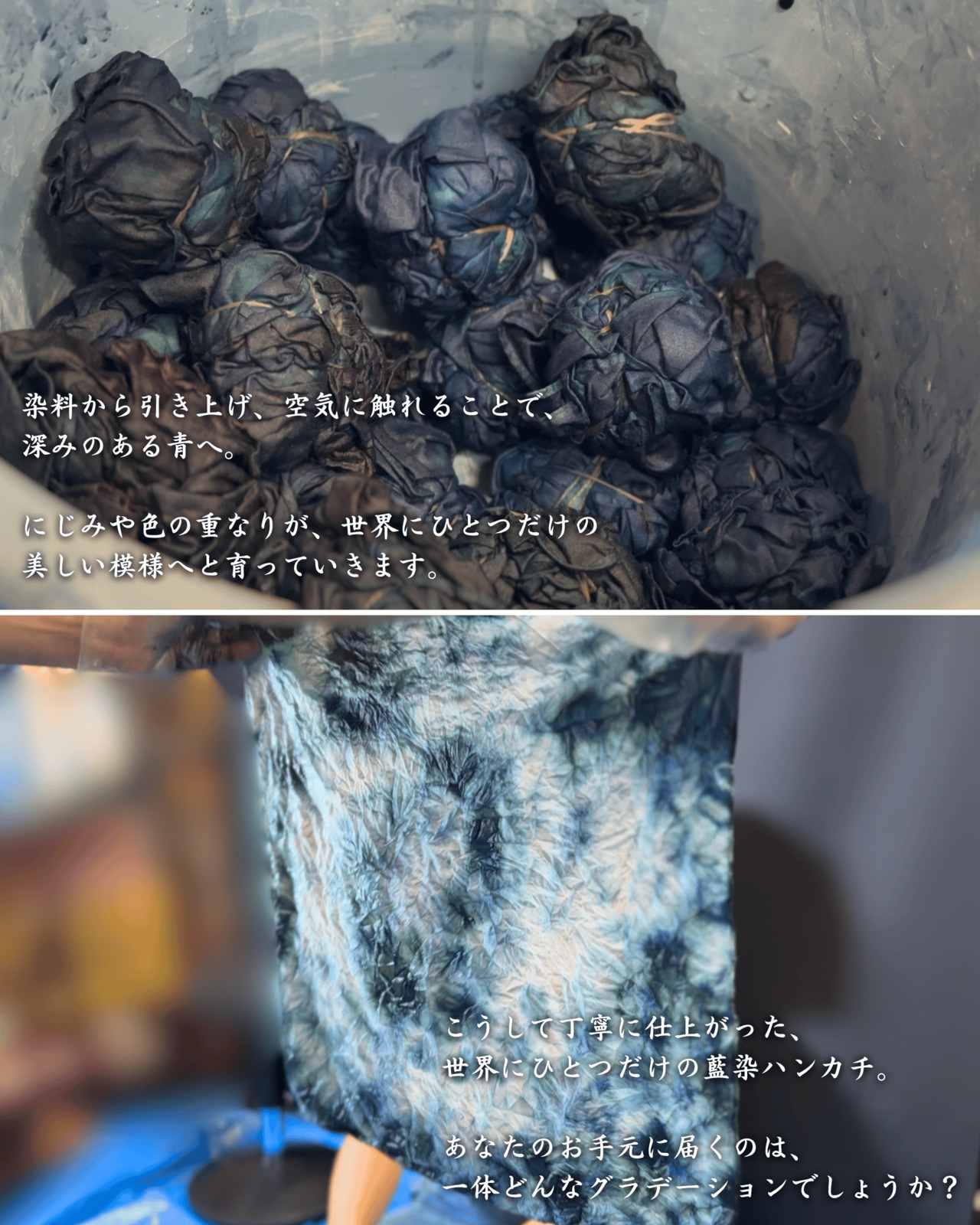 【限定販売】熊五郎からのお中元