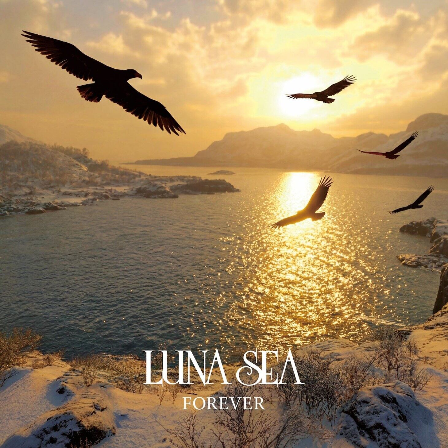 2023.11.29 LUNA SEA / STYLE【初回限定盤A】 | littleHEARTS.
