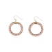 Pierced Earrings(AC1822)