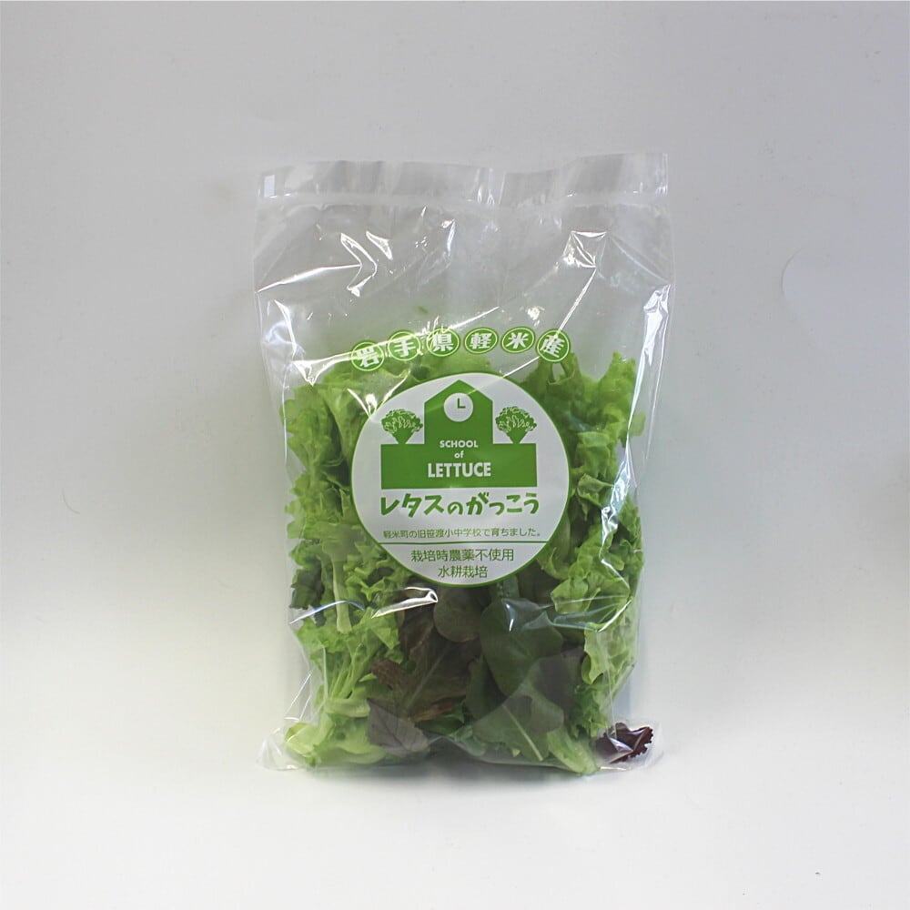 植物工場発！】水耕栽培レタス「レタスのがっこう（ミックス）」1袋