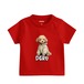 トイプードル　ベビーTシャツ