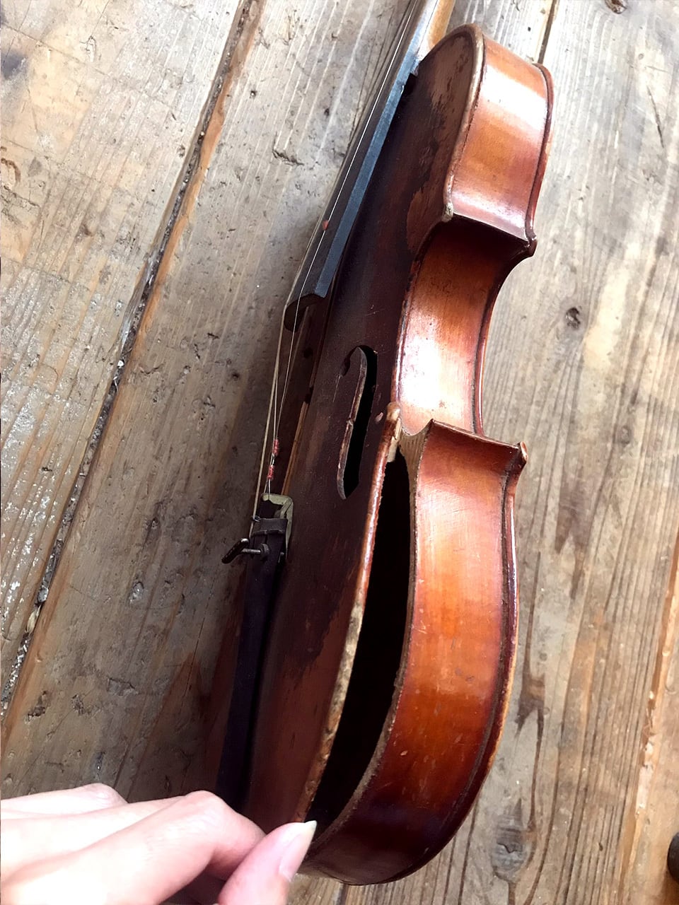 バイオリン 弦楽器 ジャンク | Brocante de La Cocotte （フランス