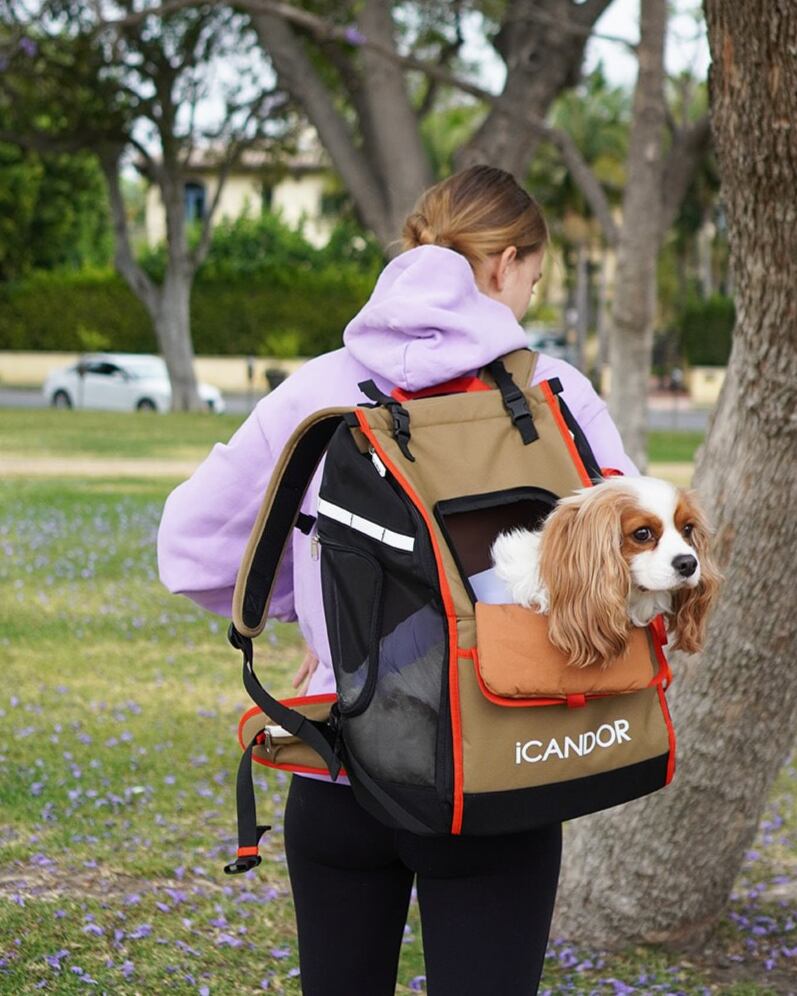 【ICANDOR】JIGE Bag_Vivid Khaki(Mサイズ)