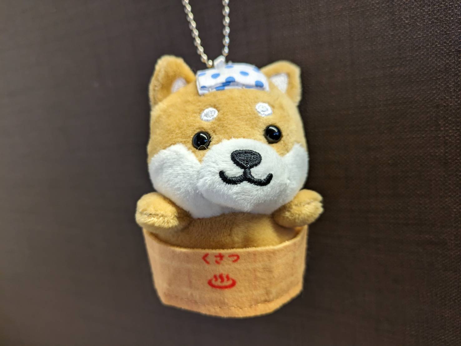 草津温泉】旅するマメしば | miyaroku