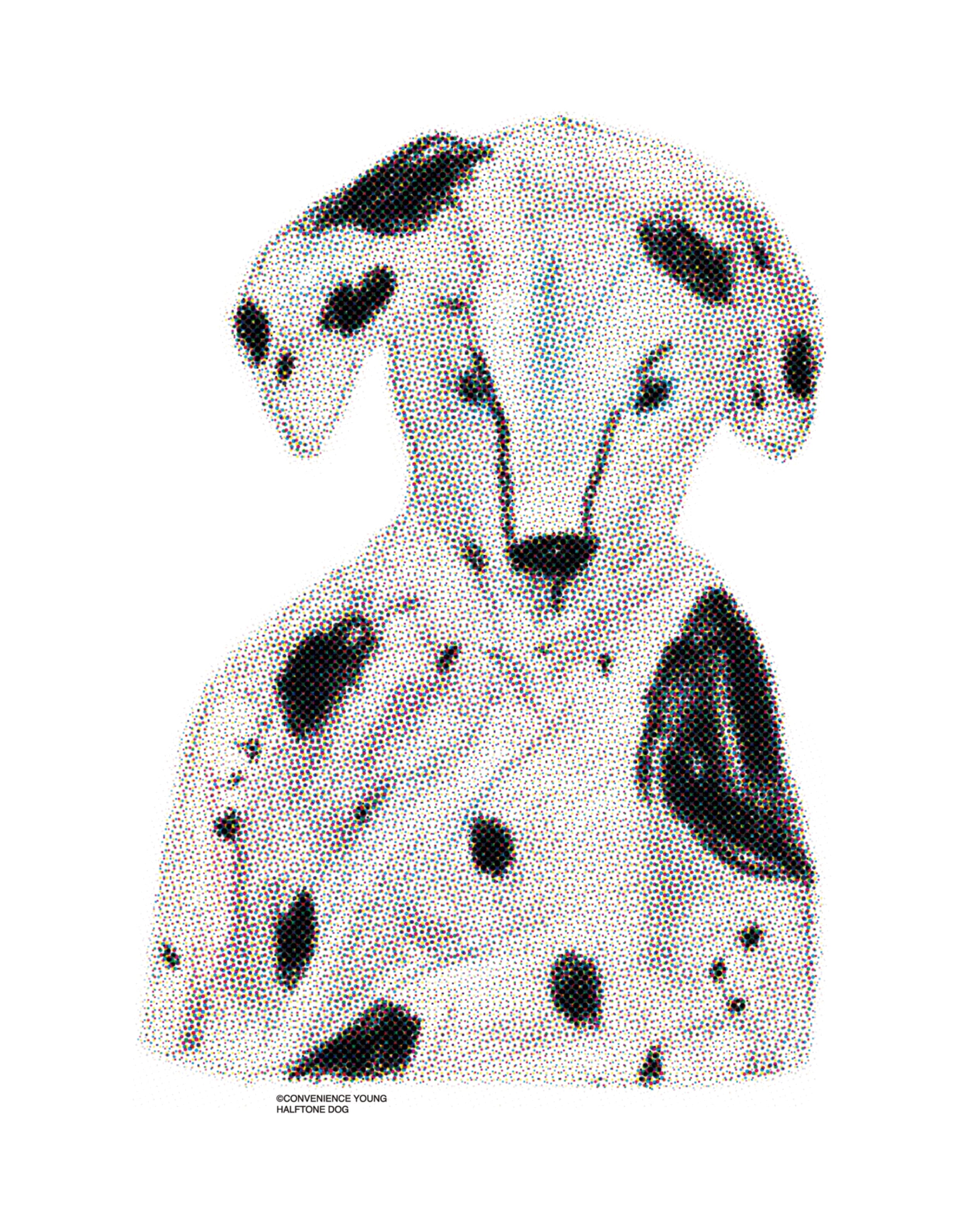 Halftone Dalmatian Tee | CONVENIENCE YOUNG