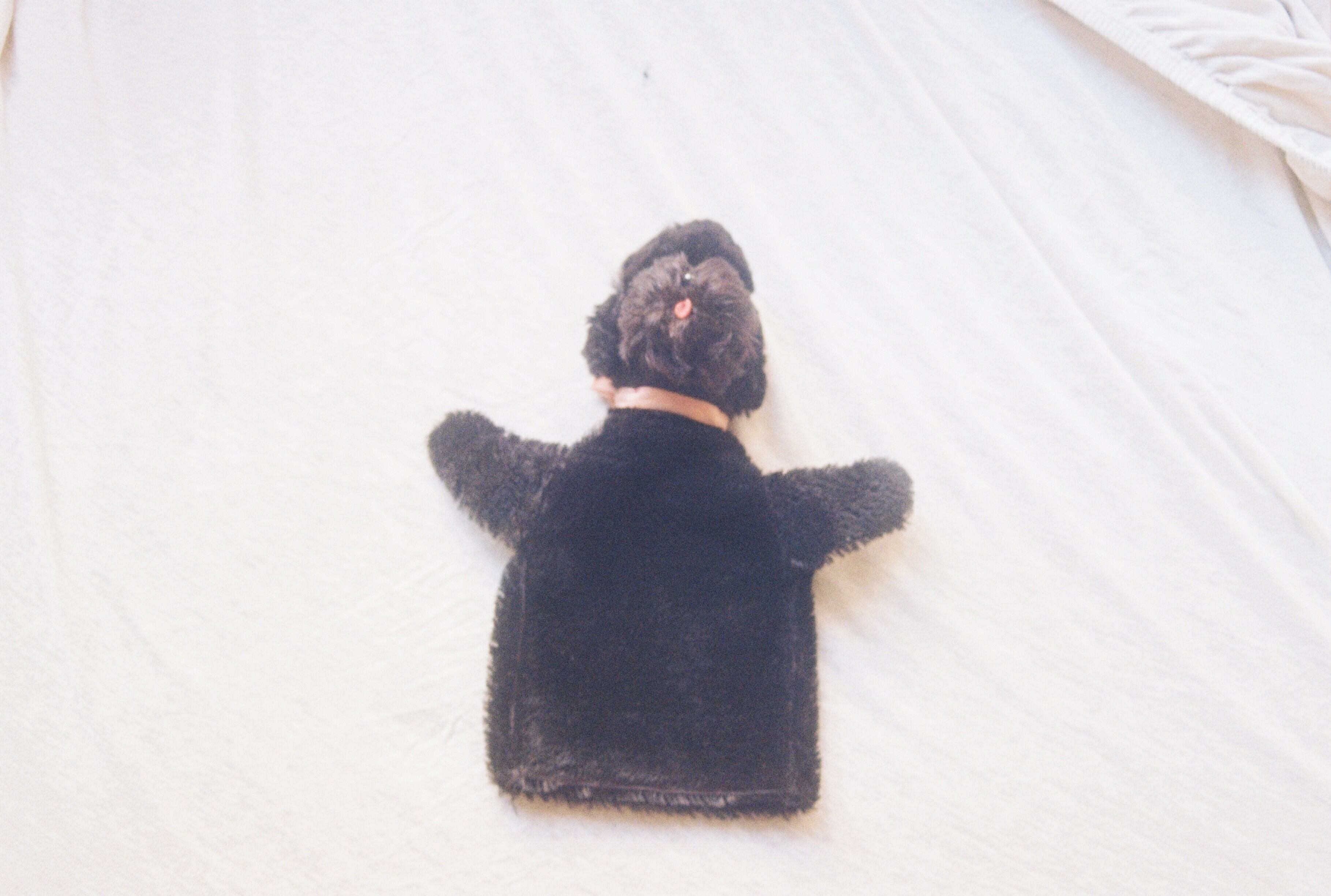 ドイツ＞ Steiff（シュタイフ）のパペット ヴィンテージ | kiske_shop