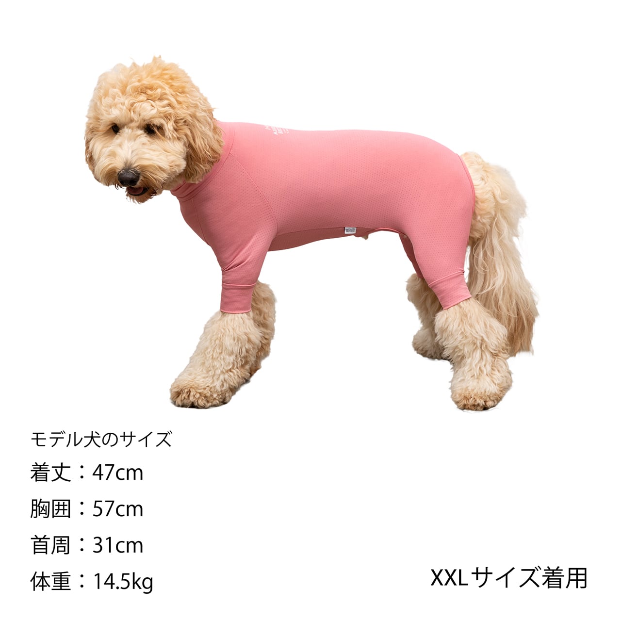 INSECT SHIELD SKIN TIGHT SUIT（3L,4L,5L） インセクトシールドスキン 