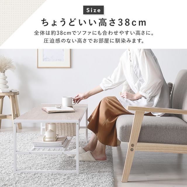 ローテーブル 単品 幅105cm 収納棚付き スチール デザイン センターテーブル インテリア家具 組立品