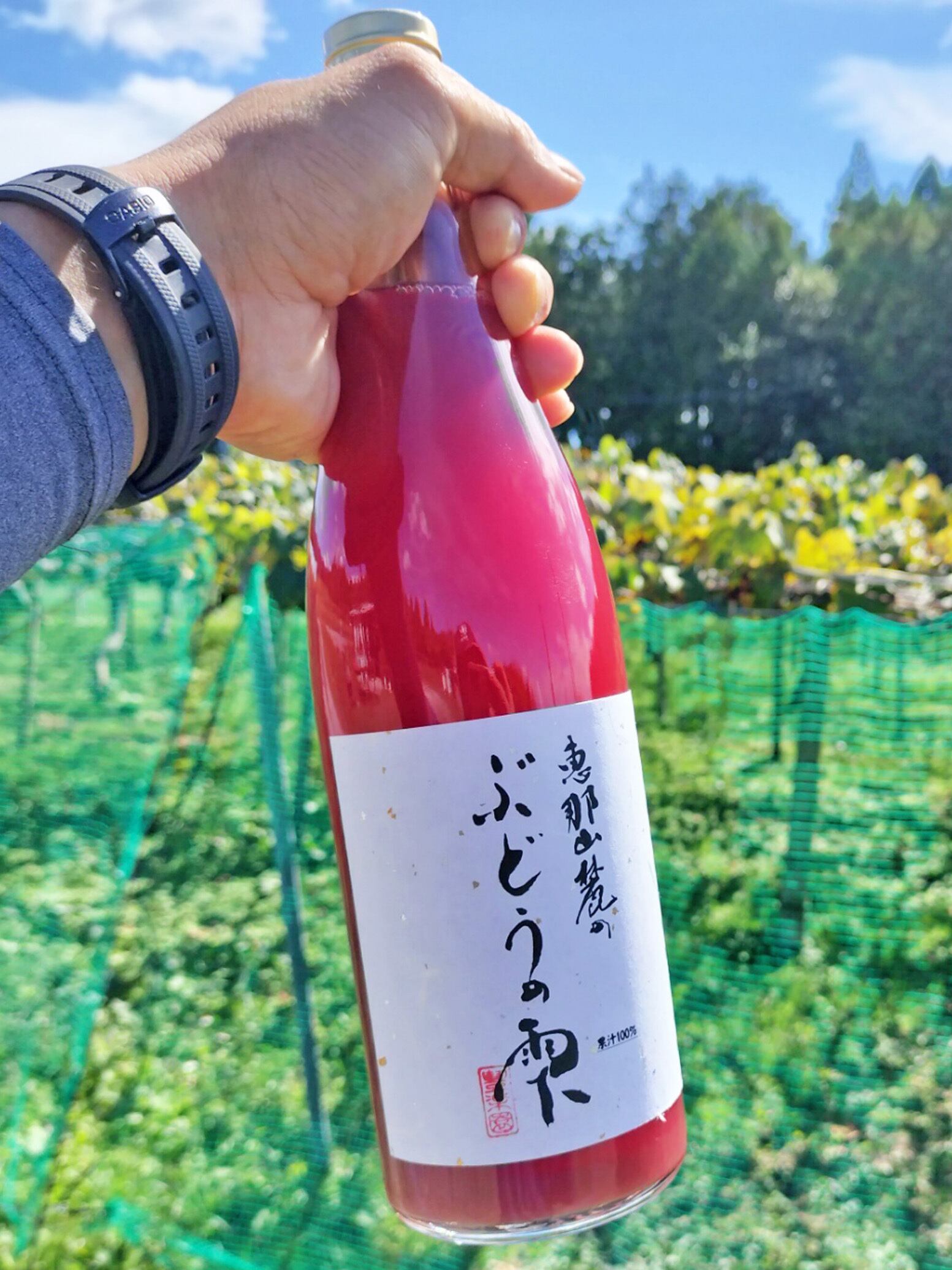 3本セット（ぶどう）】プレミアムジュース恵那山麓のぶどうの雫 | 豊