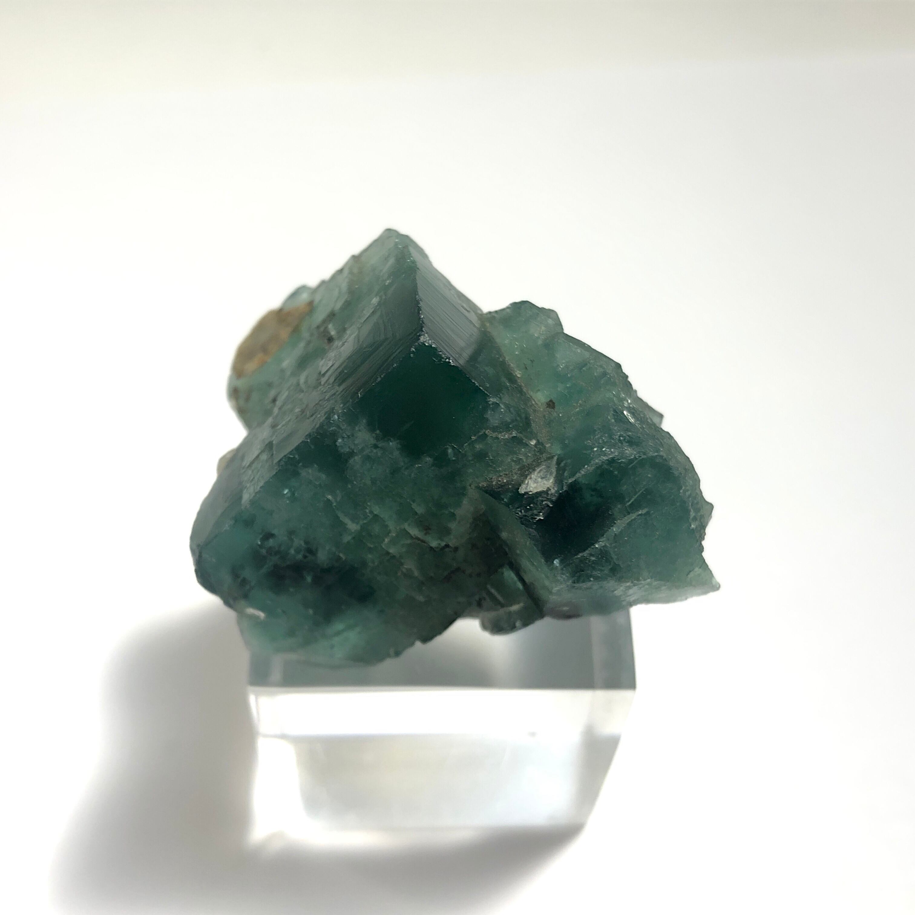 h238d】【蛍光鉱物】グリーンフローライト 原石【イギリス産 h238d】【蛍光鉱物】グリーンフローライト 原石【イギリス産