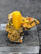 ウルフェナイト  Ojuela Mine, Mapimi, Durango Mexico  R5-1432