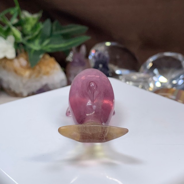 4.癒☆可愛いフローライトイルカさん