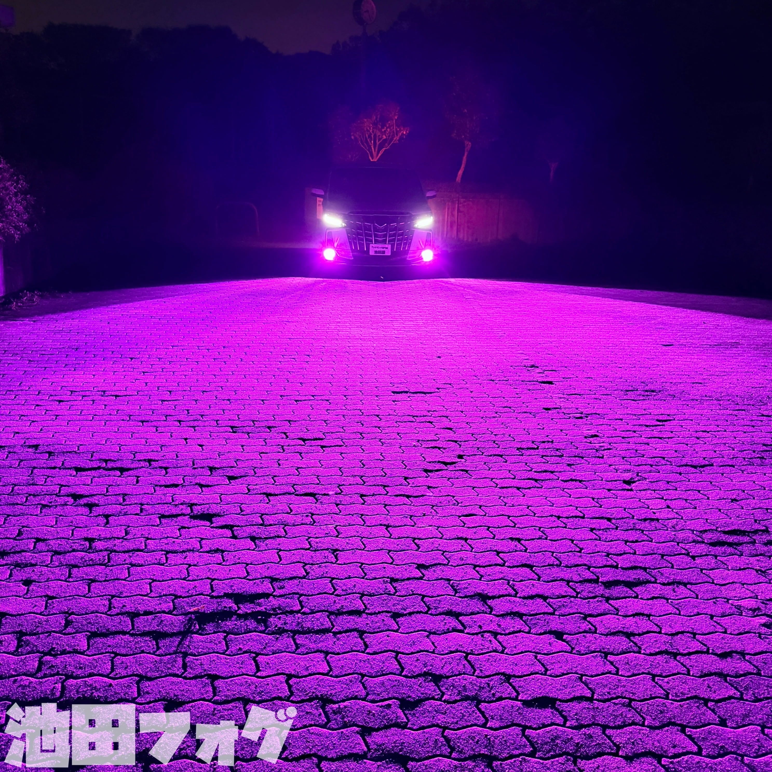 超爆光！H8/H11/H16 パープルピンクフォグランプ！当店限定色！ピンク 超爆光 パープルピンク フォグランプ 実測14000lm越え H8/H11/H16 HB4