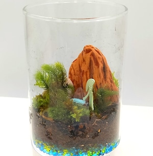 2026年 新春ワークショップ 苔と向き合う、静かなはじまり　2026年1月1.3日（火）