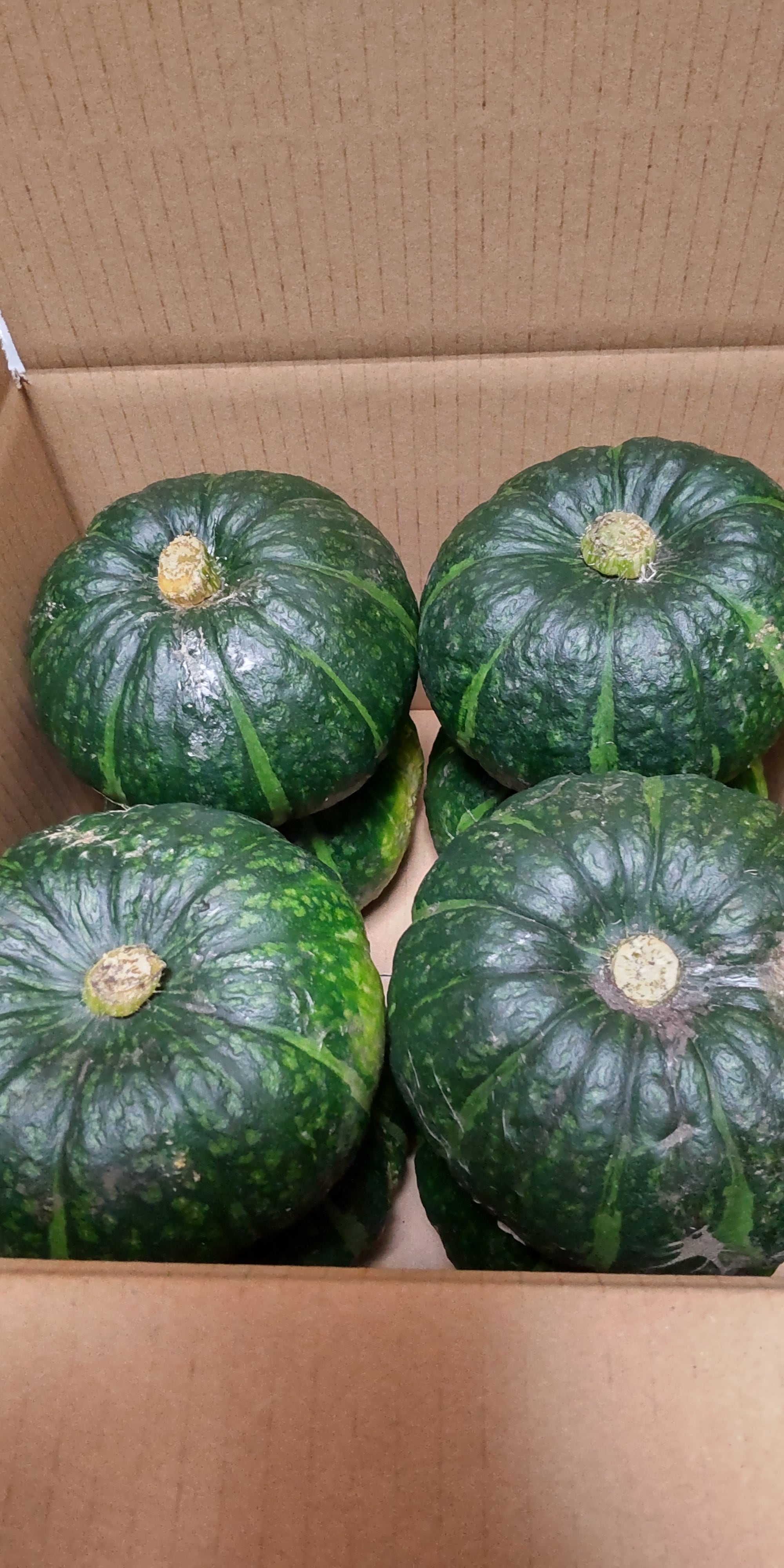 大山山麓栽培期間中農薬化学肥料不使用栽培人参4kg【送料込】 大山山麓栽培期間中農薬化学肥料不使用栽培人参4kg【送料込】 大山