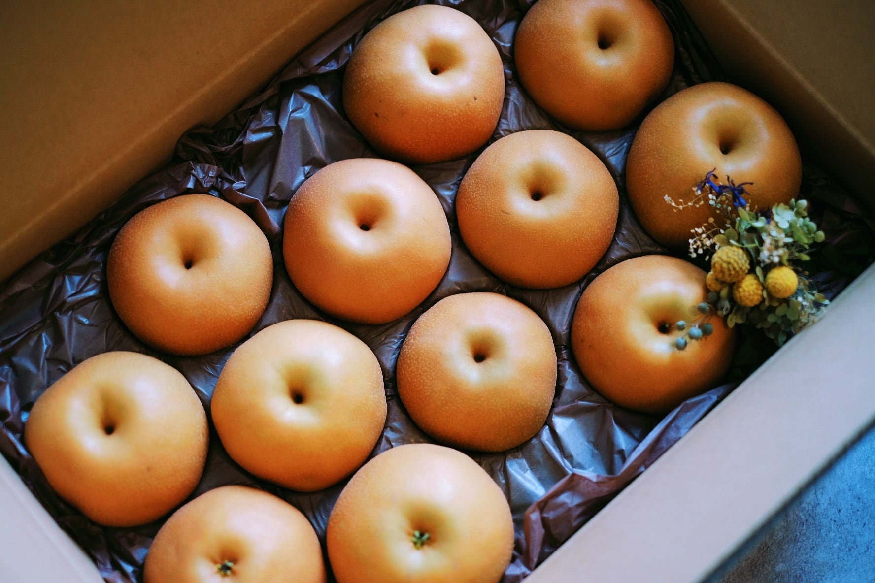 SUN南水 4.8〜5kg 信州産 南水梨 【贈答用】ミニドライフラワー付き 10