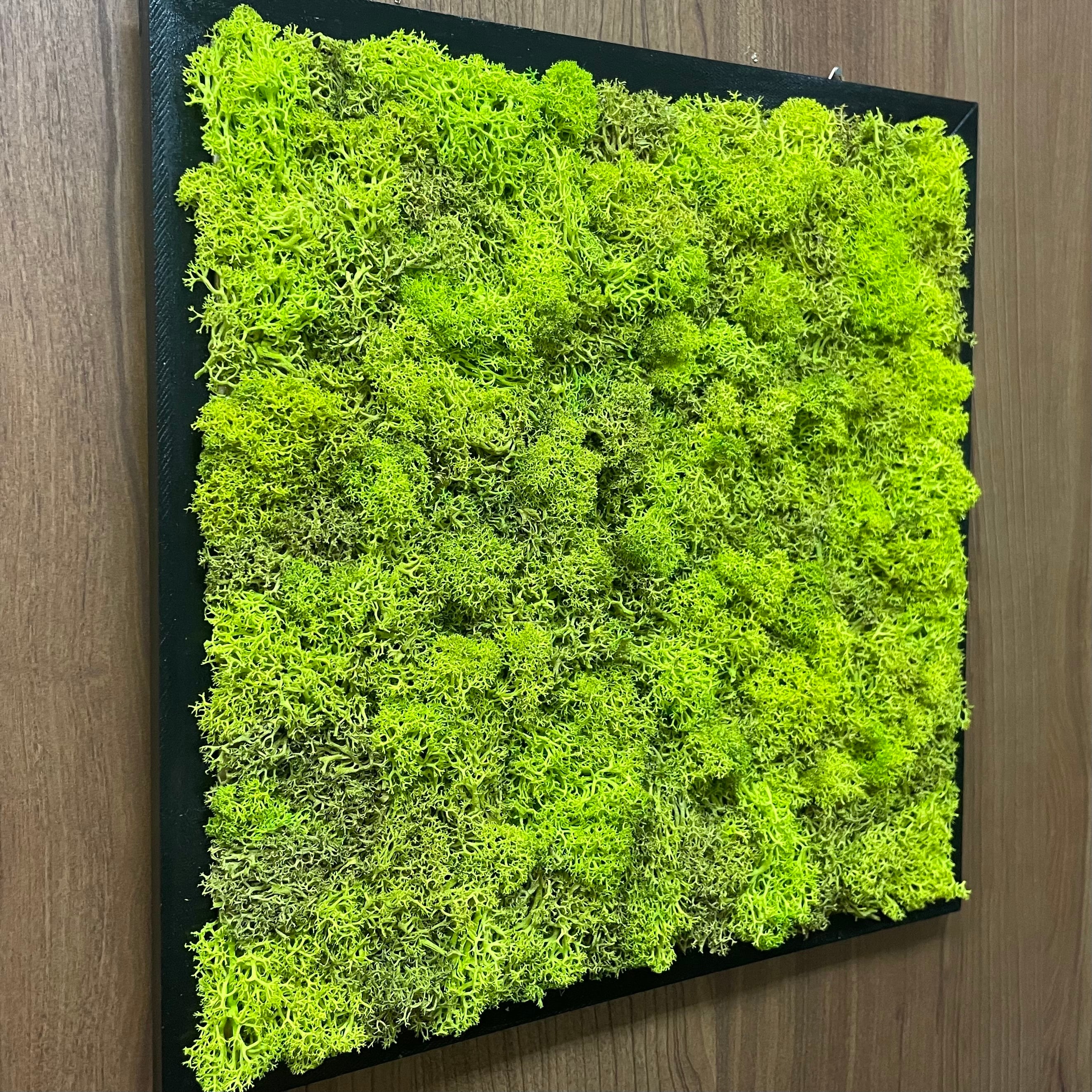 ウォールグリーン スカンディアモス スクエアパネル（スプリング