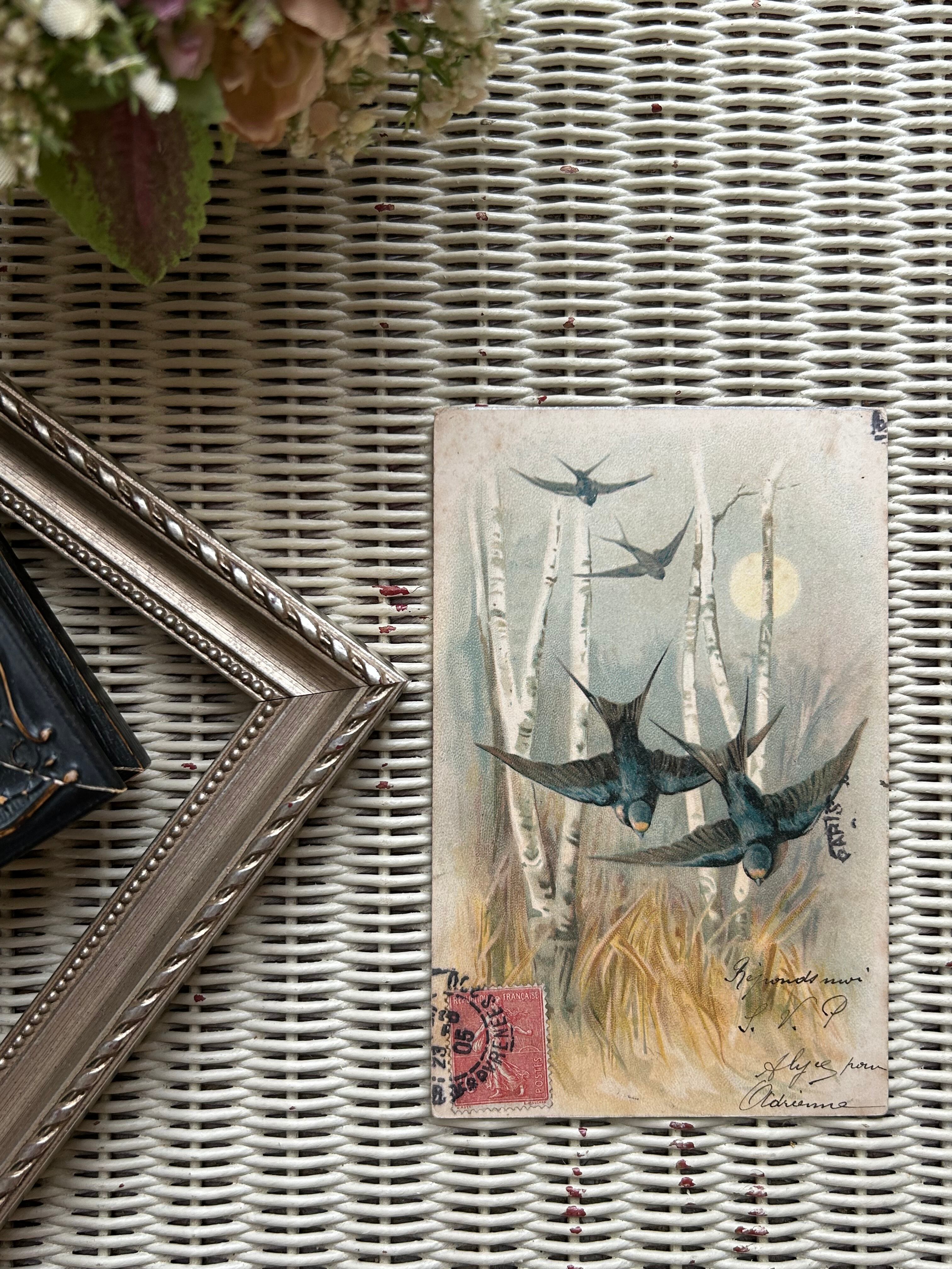 アンティークポストカード ツバメ 燕 フランス インテリア 額装