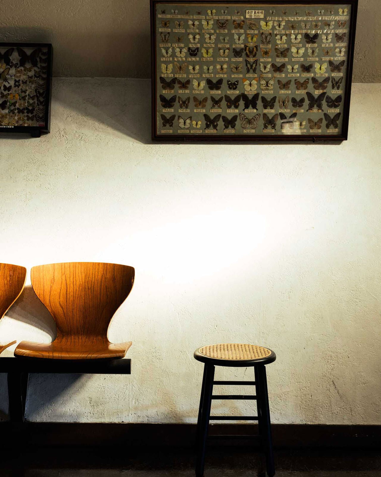 Deschutes Low - Rattan Iron mordant | MOBLEY WORKS ONLINE SHOP